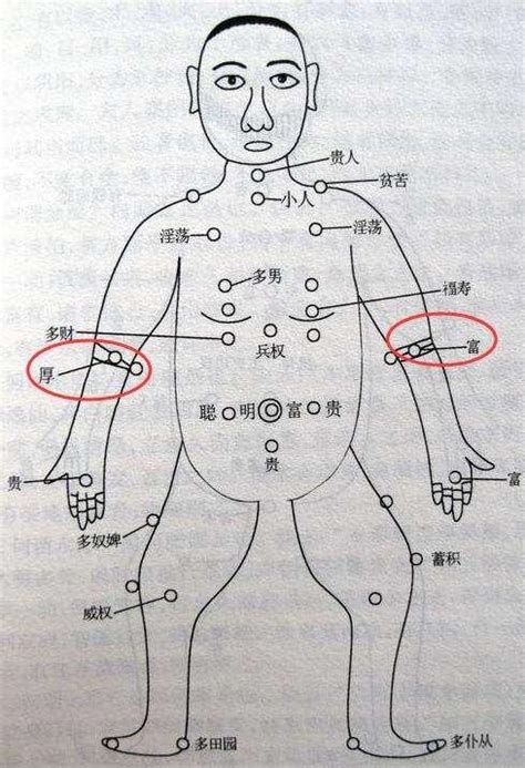 手臂長痣|從手上的痣看你的好運在哪？上手臂有痣善於 ...